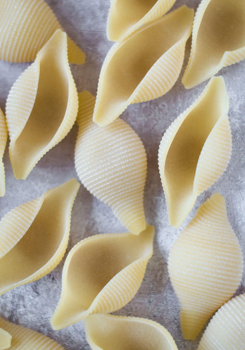 Giant pasta shells 