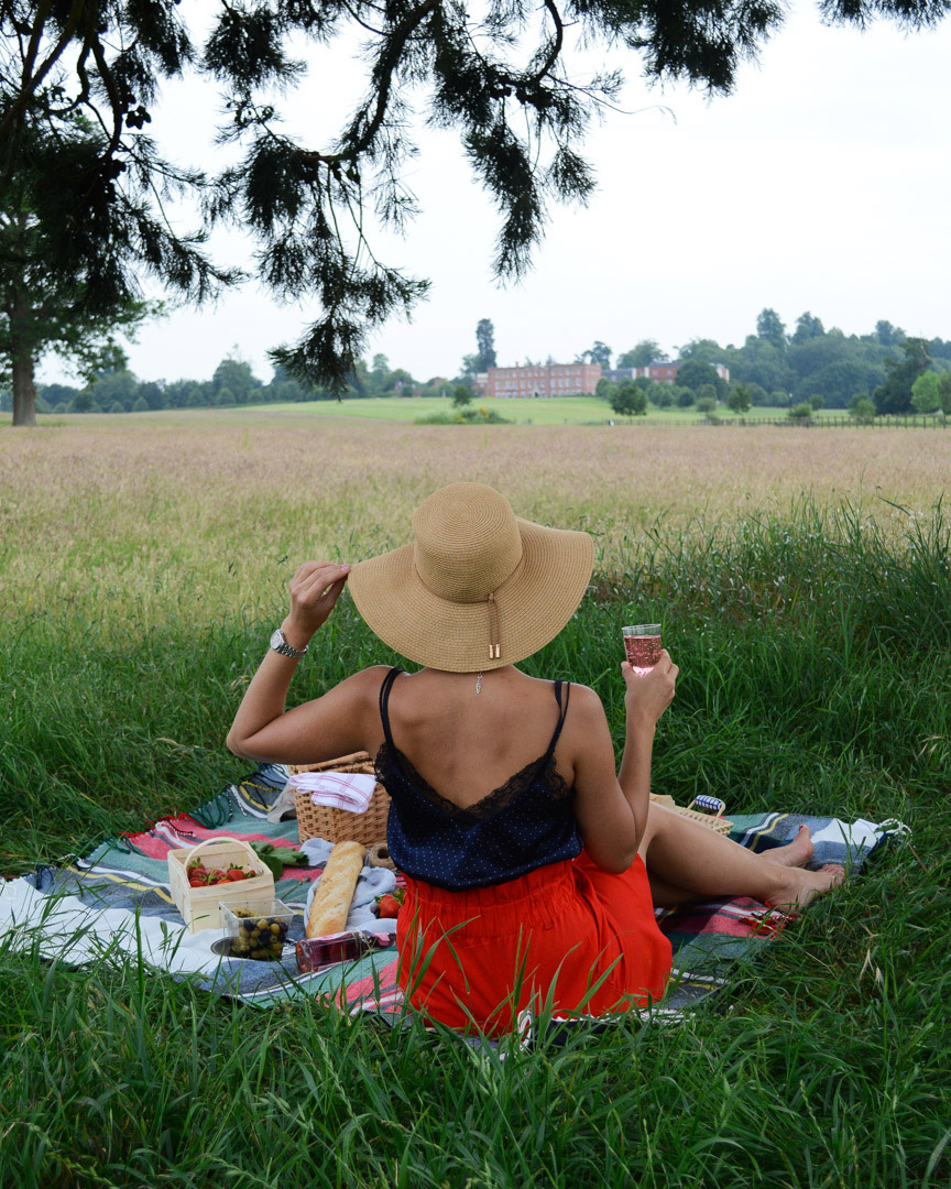 Picnic in the field with a lady in a hat holding a glass in the hand